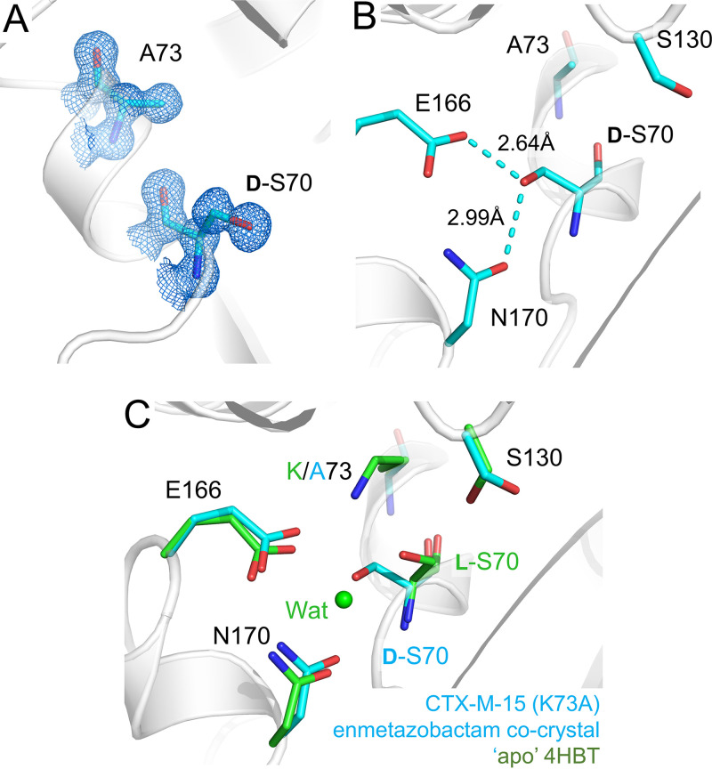 FIG 3