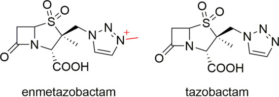 FIG 1