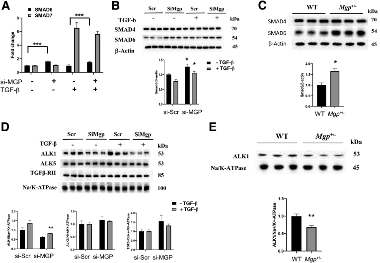 Figure 15