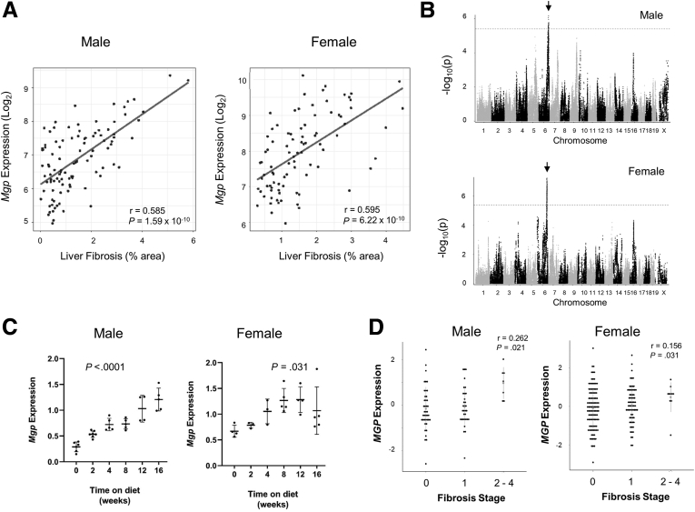 Figure 1