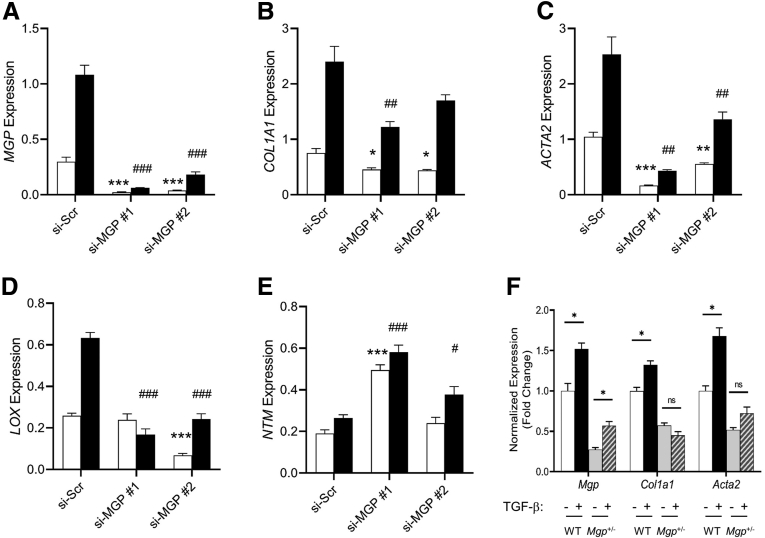 Figure 13