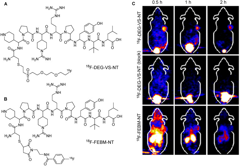Figure 13