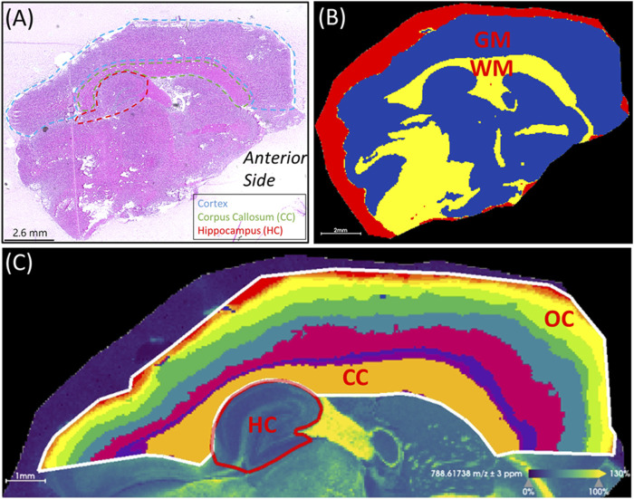 FIGURE 3