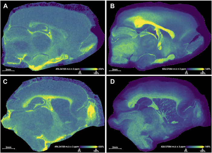 FIGURE 2