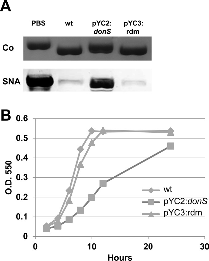 FIG 4