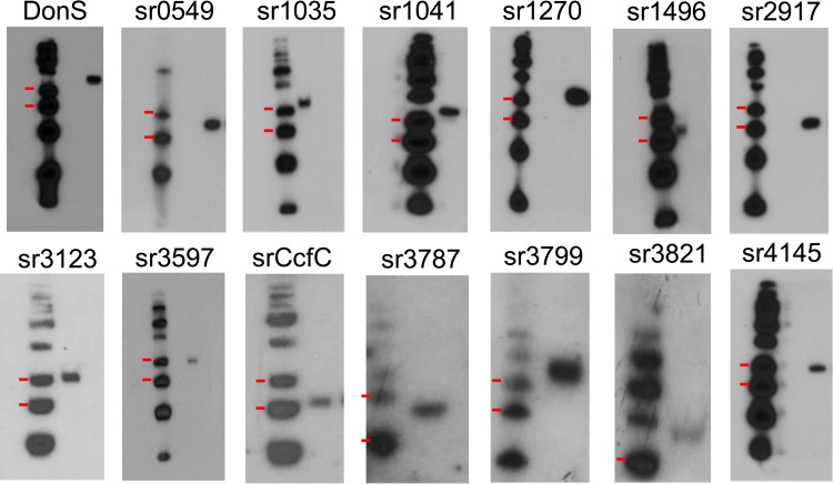 FIG 2