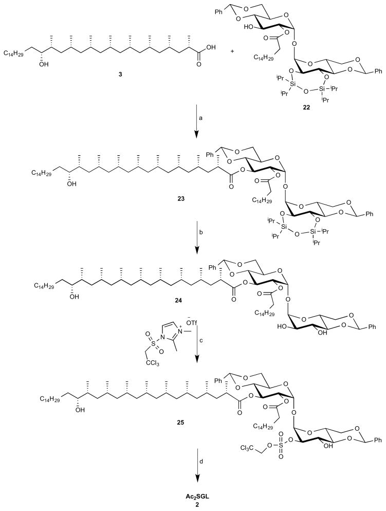 Scheme 5