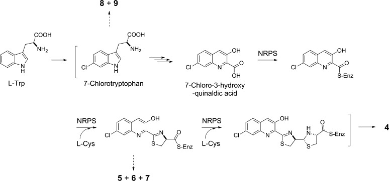 Figure 5