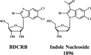 FIG 1