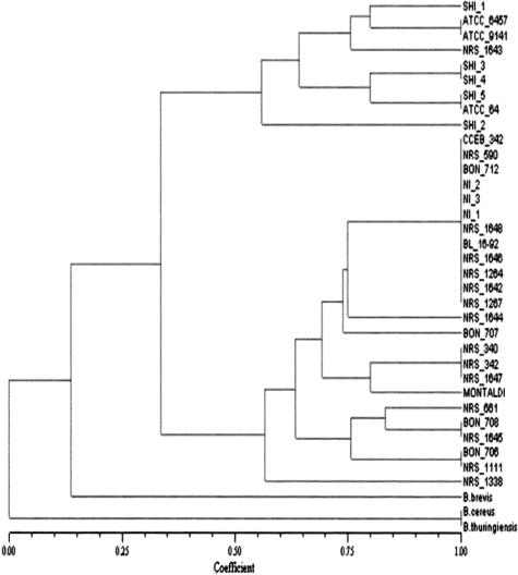 FIG. 4.