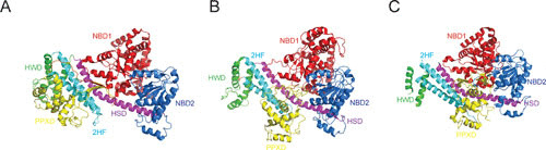 FIGURE 3