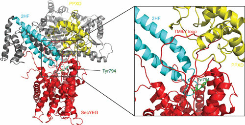 FIGURE 4