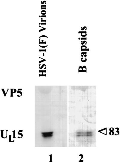 FIG. 6