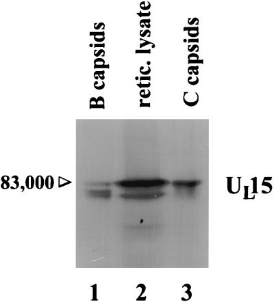 FIG. 5