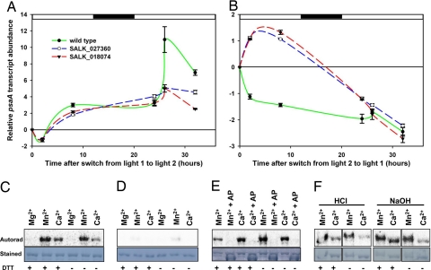 Fig. 4.