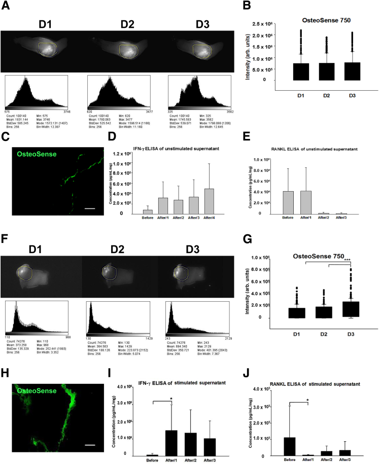 Figure 5