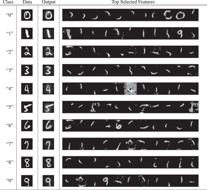 graphic file with name 41467_2022_29632_Tab2_HTML.jpg