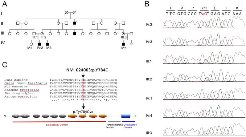 Figure 1.