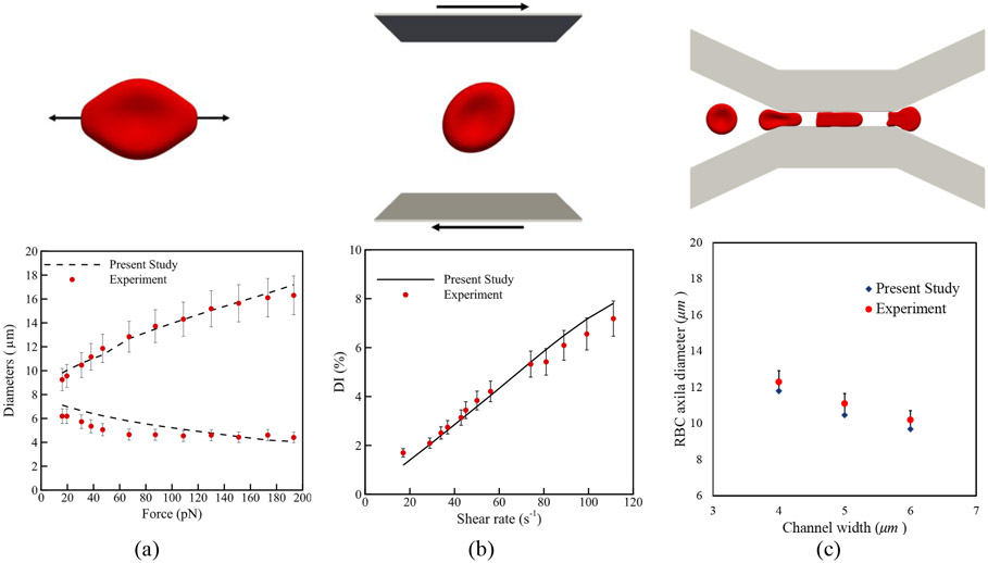 Figure 2: