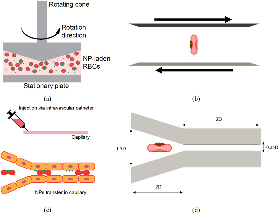 Figure 5: