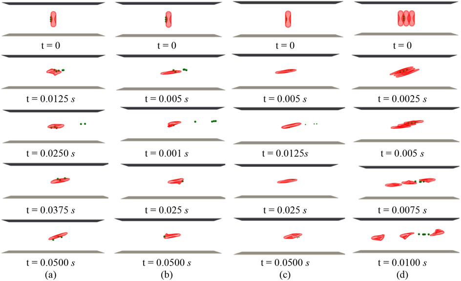 Figure 6: