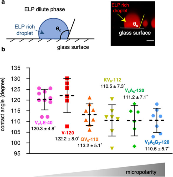 Extended Data Fig. 9.