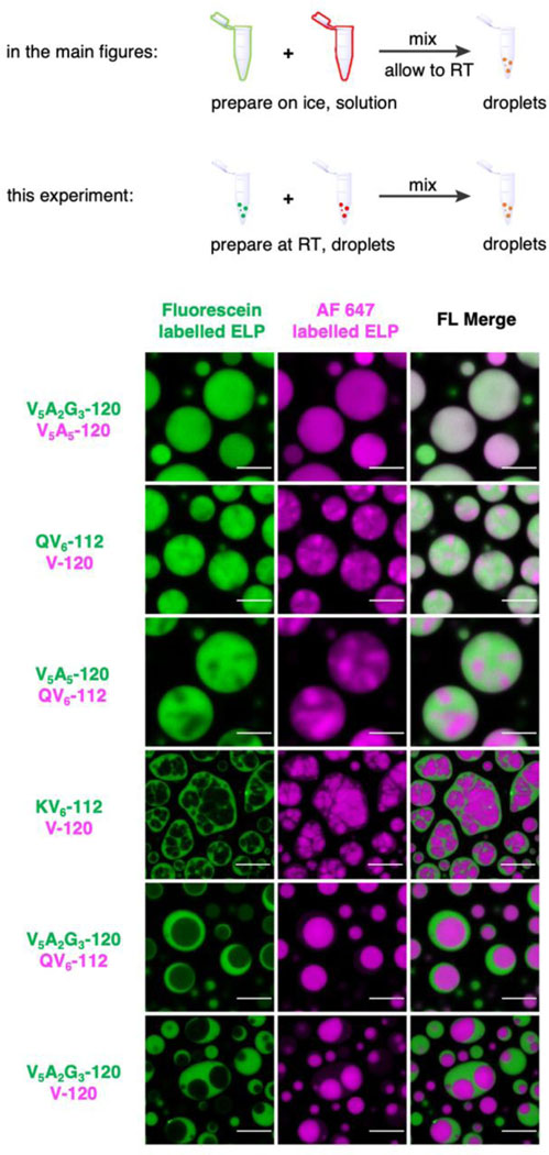 Extended Data Fig. 3.