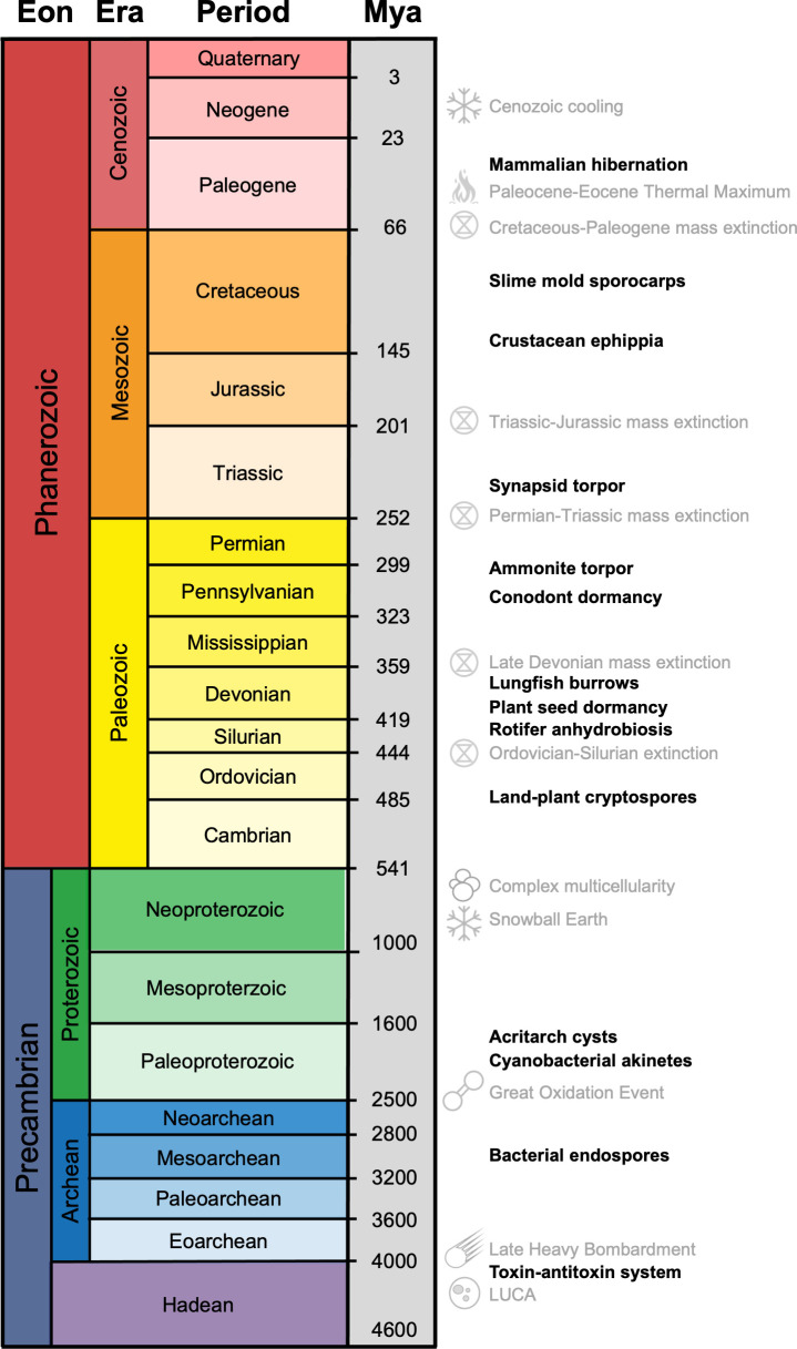 Dormancy through geological time