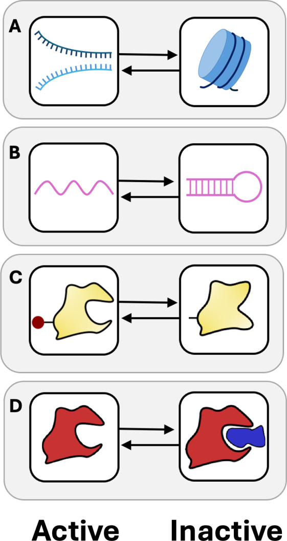 Examples of chemical dormancy