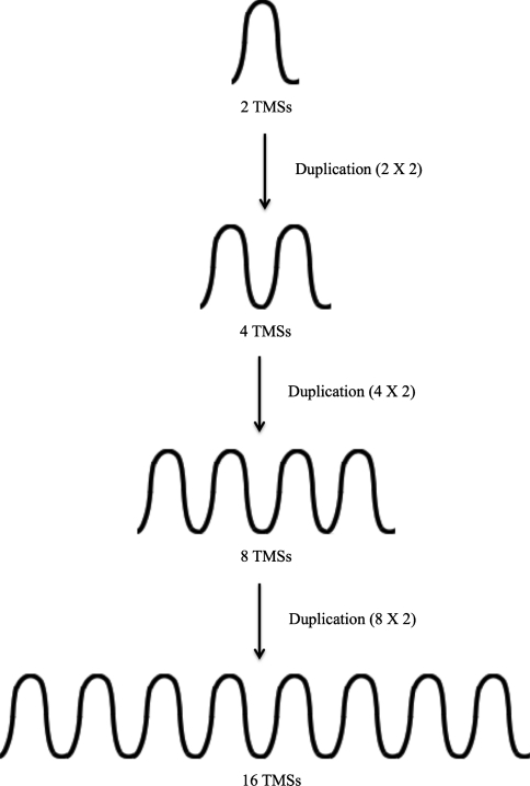 Fig. 7