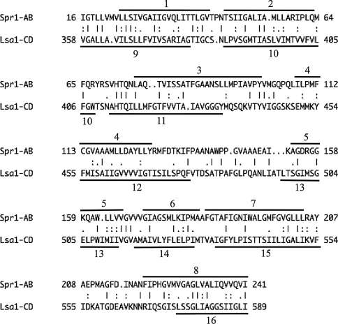 Fig. 4