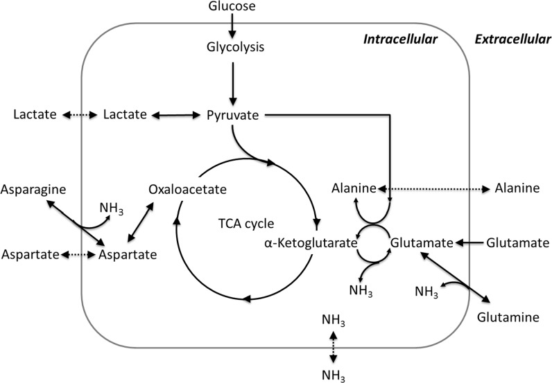 Fig. 11