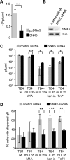 FIG 6