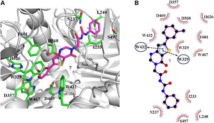 FIGURE 6