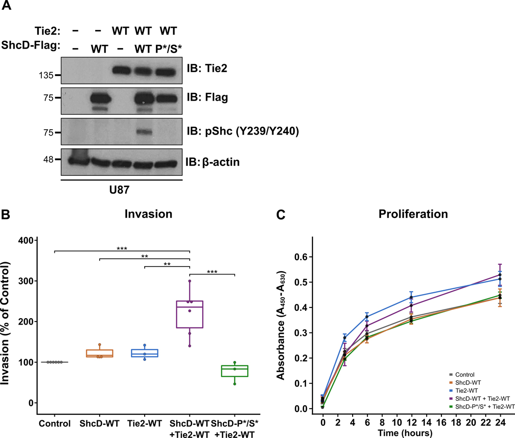 Figure 3: