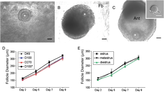 Figure 2