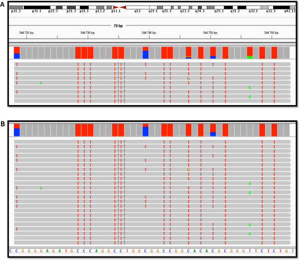 Figure 10