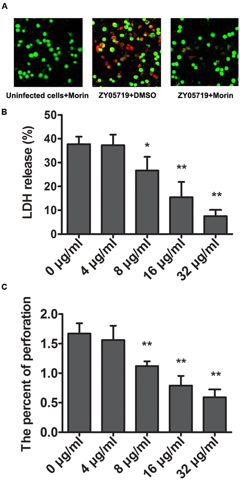 FIGURE 2