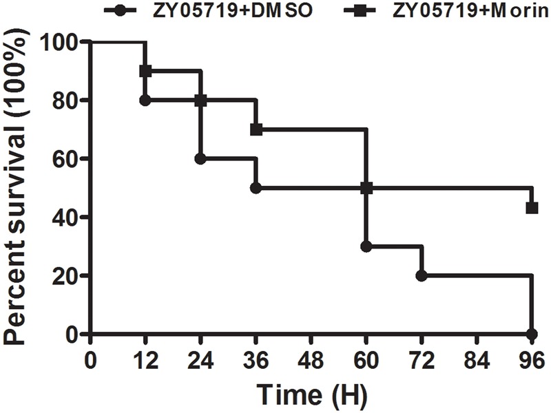 FIGURE 3