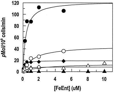 FIG. 6