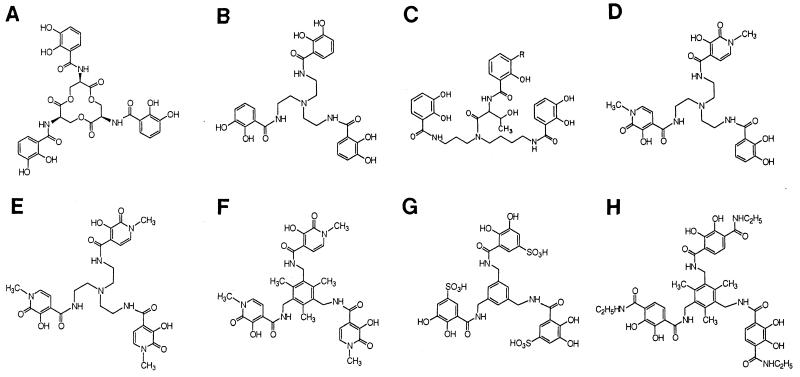 FIG. 1