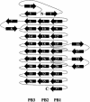 Fig. 2.