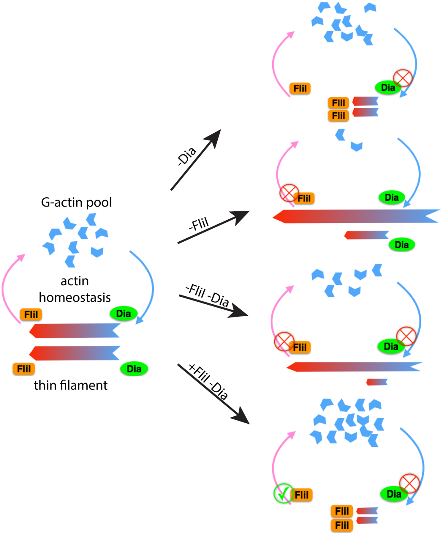 Figure 6: