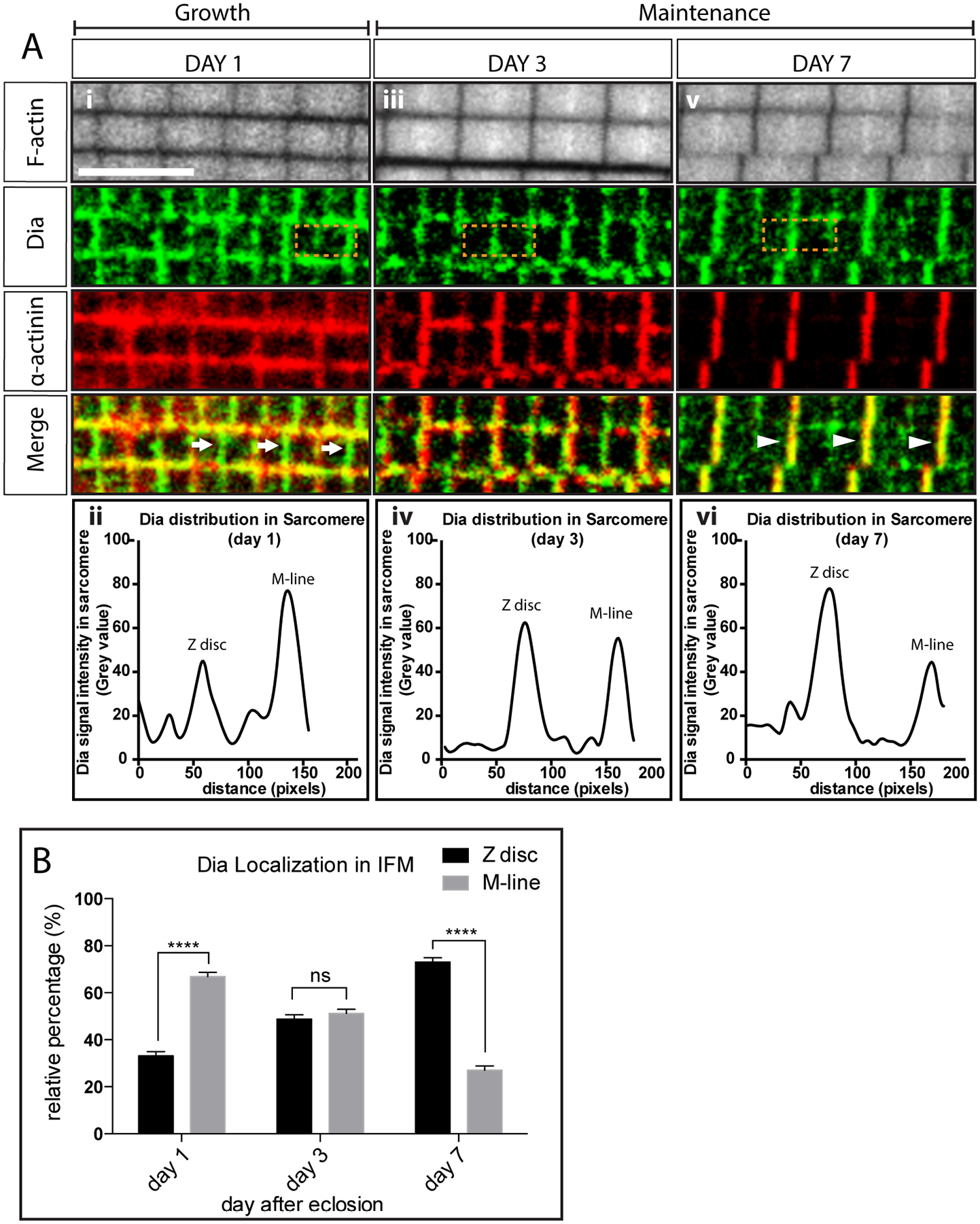 Figure 4: