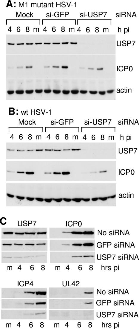 FIG. 11.