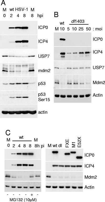 FIG. 6.