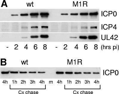 FIG. 10.