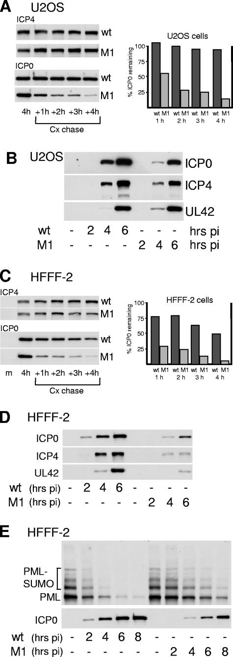 FIG.7.