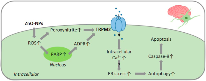 Fig. 3