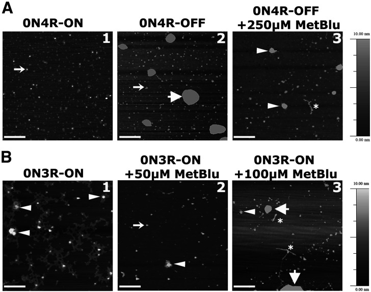 Figure 6.